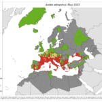 Mosquitos – new challenge for European public health?